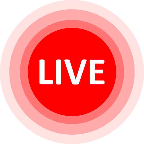 Vibingwithvi Cam